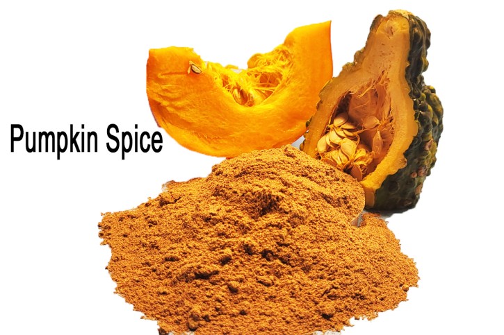Pumpkin Spice 40g