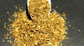 Paprika grün, grob-geschitten