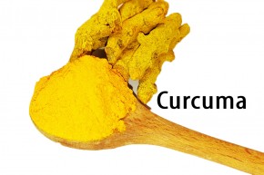 Curcuma, Kurkuma, Gelbwurz- gemahlen 80g